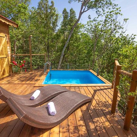 Au Jardin Des Colibris Ecolodge&Spa Деше Экстерьер фото