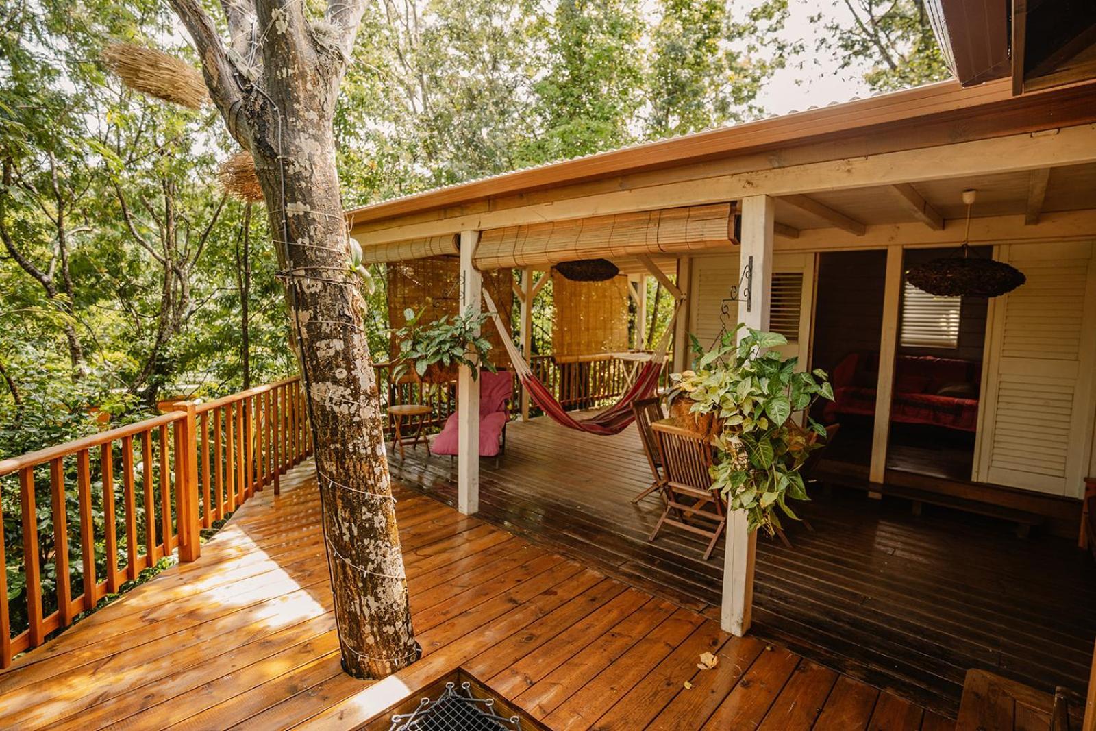 Au Jardin Des Colibris Ecolodge&Spa Деше Экстерьер фото